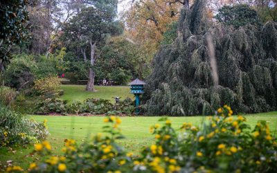 Les plus beaux jardins et parcs de Nantes